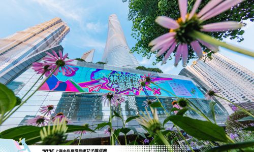 2026上海中心高塔竞速女子挑战赛成功举办  SKYROX创新赛制引关注